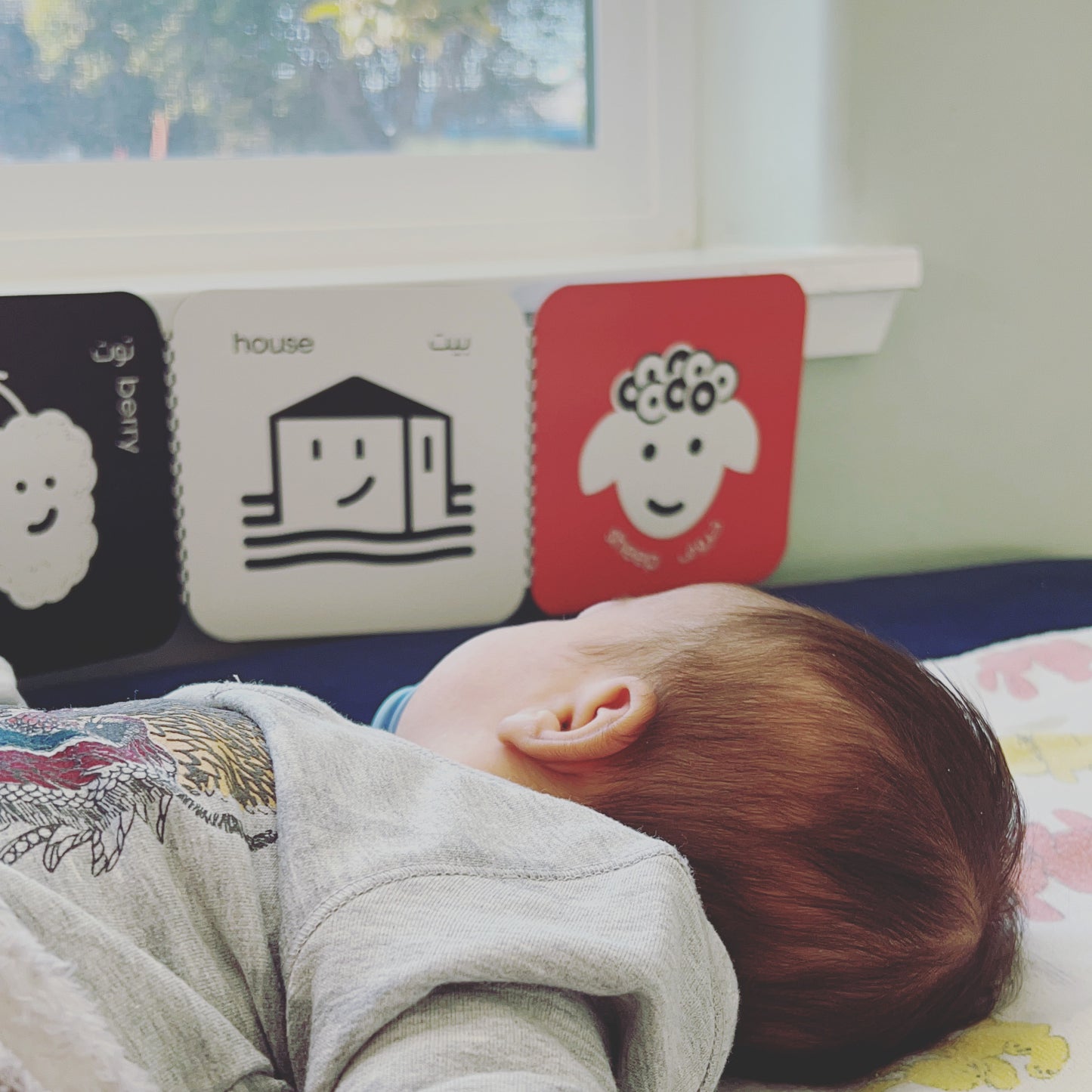 Habibi Book Set | 0-12 m | English Arabic