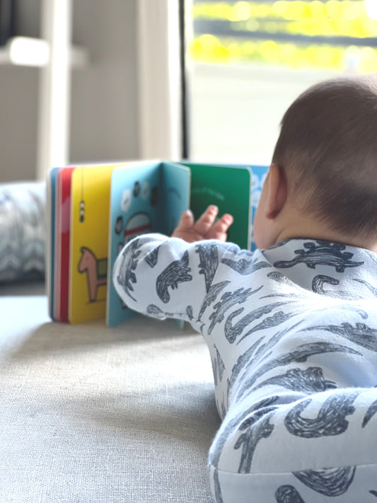 0-1 yr | Habibi Starter Set | 3 Books